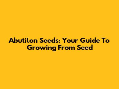 Abutilon Seeds: Your Guide To Growing From Seed