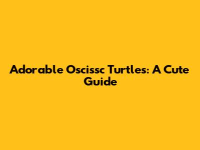 Adorable Oscissc Turtles: A Cute Guide