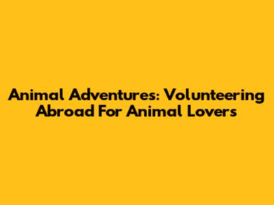 Animal Adventures: Volunteering Abroad For Animal Lovers