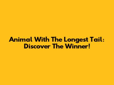 Animal With The Longest Tail: Discover The Winner!