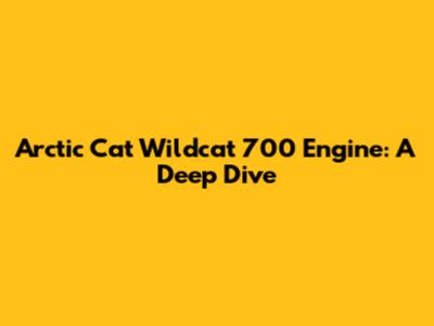 Arctic Cat Wildcat 700 Engine: A Deep Dive