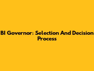 BI Governor: Selection And Decision Process