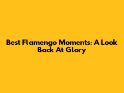 Best Flamengo Moments: A Look Back At Glory