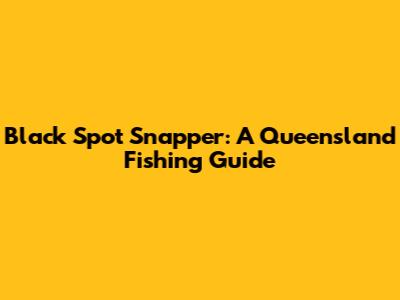 Black Spot Snapper: A Queensland Fishing Guide