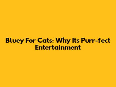 Bluey For Cats: Why It's Purr-fect Entertainment