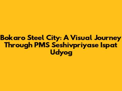 Bokaro Steel City: A Visual Journey Through PMS Seshivpriyase Ispat Udyog