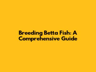 Breeding Betta Fish: A Comprehensive Guide