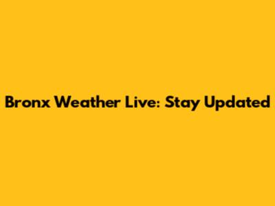 Bronx Weather Live: Stay Updated