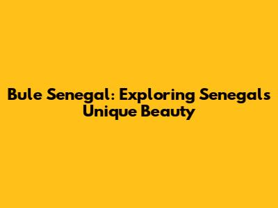 Bule Senegal: Exploring Senegal's Unique Beauty
