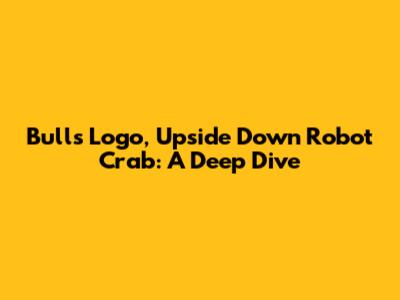 Bulls Logo, Upside Down Robot Crab: A Deep Dive