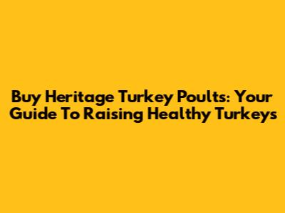 Buy Heritage Turkey Poults: Your Guide To Raising Healthy Turkeys