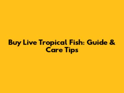 Buy Live Tropical Fish: Guide & Care Tips