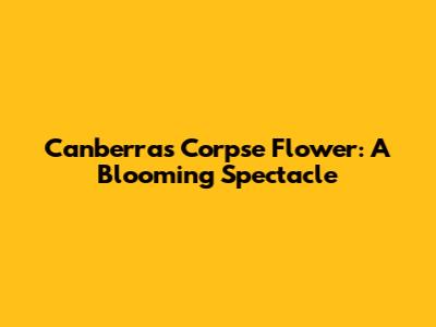 Canberra's Corpse Flower: A Blooming Spectacle