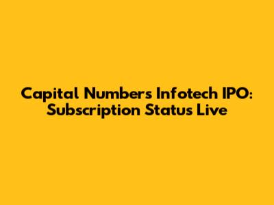 Capital Numbers Infotech IPO: Subscription Status Live