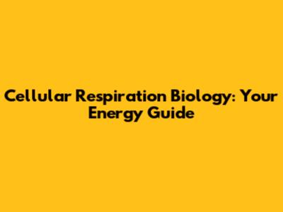 Cellular Respiration Biology: Your Energy Guide