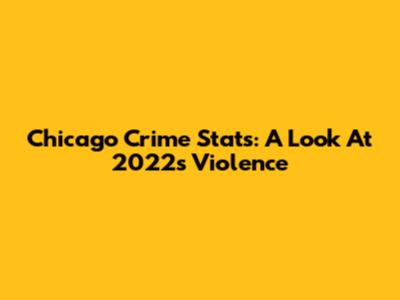 Chicago Crime Stats: A Look At 2022's Violence