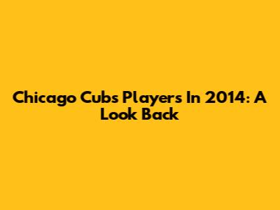 Chicago Cubs Players In 2014: A Look Back