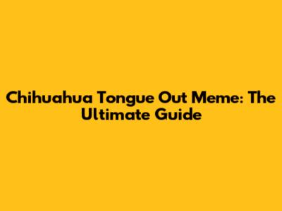 Chihuahua Tongue Out Meme: The Ultimate Guide