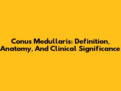 Conus Medullaris: Definition, Anatomy, And Clinical Significance