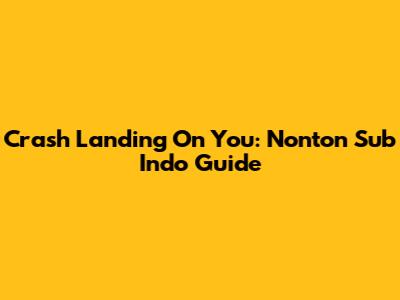 Crash Landing On You: Nonton Sub Indo Guide