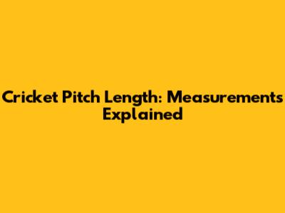 Cricket Pitch Length: Measurements Explained