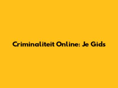 Criminaliteit Online: Je Gids