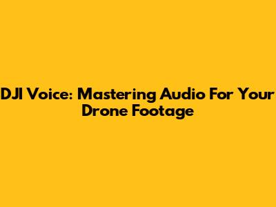 DJI Voice: Mastering Audio For Your Drone Footage