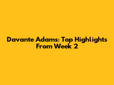 Davante Adams: Top Highlights From Week 2