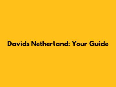 David's Netherland: Your Guide