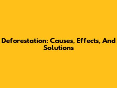 Deforestation: Causes, Effects, And Solutions