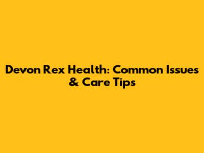 Devon Rex Health: Common Issues & Care Tips
