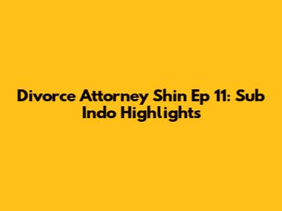 Divorce Attorney Shin Ep 11: Sub Indo Highlights