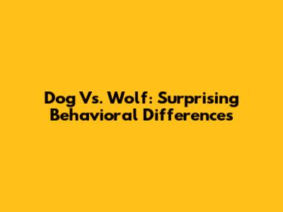 Dog Vs. Wolf: Surprising Behavioral Differences