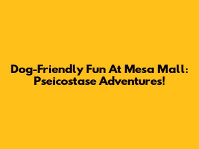 Dog-Friendly Fun At Mesa Mall: Pseicostase Adventures!