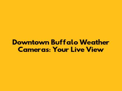 Downtown Buffalo Weather Cameras: Your Live View