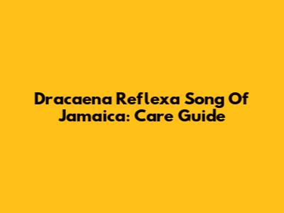 Dracaena Reflexa Song Of Jamaica: Care Guide