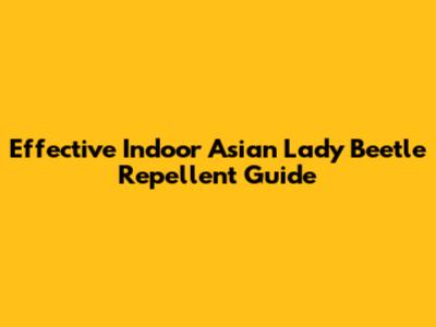 Effective Indoor Asian Lady Beetle Repellent Guide