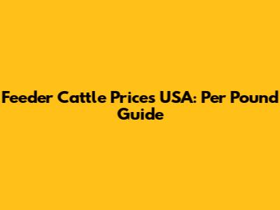 Feeder Cattle Prices USA: Per Pound Guide