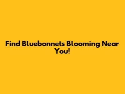 Find Bluebonnets Blooming Near You!