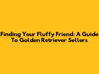 Finding Your Fluffy Friend: A Guide To Golden Retriever Sellers