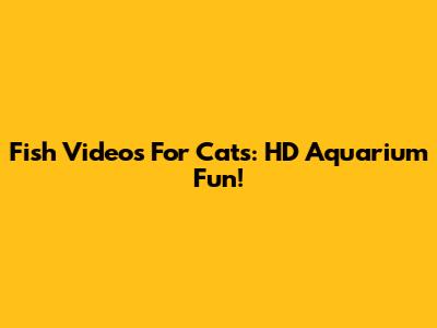 Fish Videos For Cats: HD Aquarium Fun!