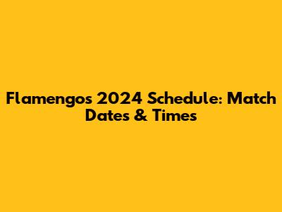 Flamengo's 2024 Schedule: Match Dates & Times