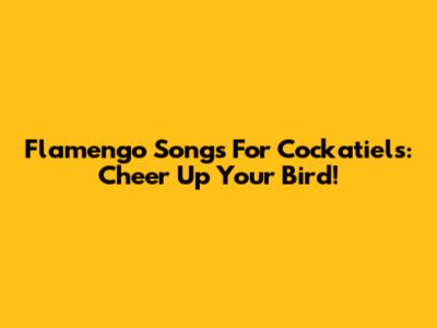 Flamengo Songs For Cockatiels: Cheer Up Your Bird!