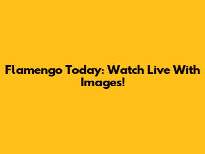 Flamengo Today: Watch Live With Images!
