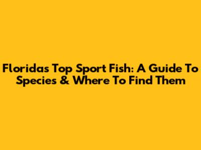Florida's Top Sport Fish: A Guide To Species & Where To Find Them
