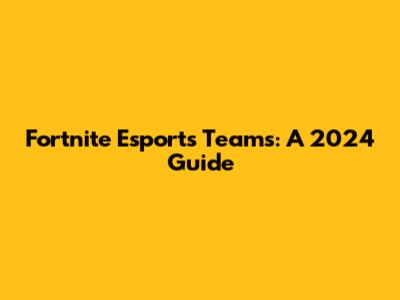 Fortnite Esports Teams: A 2024 Guide
