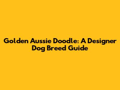 Golden Aussie Doodle: A Designer Dog Breed Guide