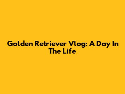 Golden Retriever Vlog: A Day In The Life