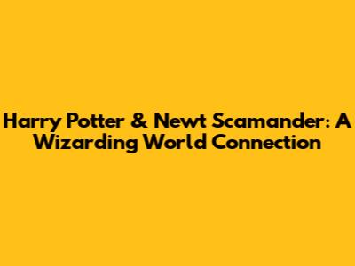 Harry Potter & Newt Scamander: A Wizarding World Connection