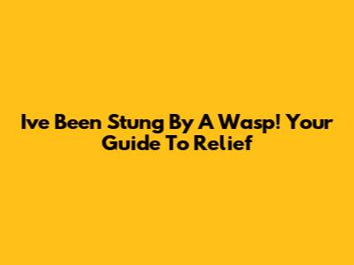 I've Been Stung By A Wasp! Your Guide To Relief